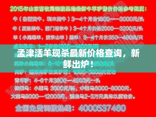 孟津活羊现杀最新价格查询，新鲜出炉！
