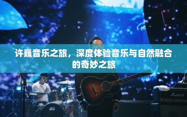 许巍音乐之旅，深度体验音乐与自然融合的奇妙之旅