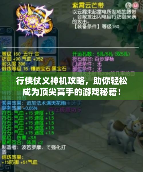 行侠仗义神机攻略，助你轻松成为顶尖高手的游戏秘籍！
