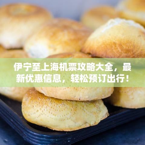 伊宁至上海机票攻略大全，最新优惠信息，轻松预订出行！