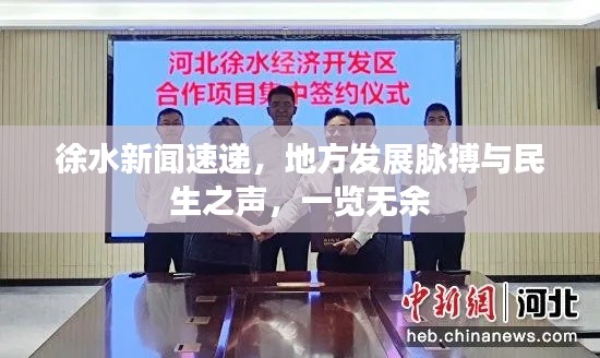 徐水新闻速递，地方发展脉搏与民生之声，一览无余