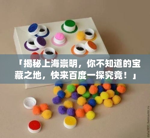 「揭秘上海崇明，你不知道的宝藏之地，快来百度一探究竟！」