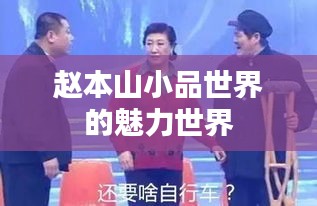 赵本山小品世界的魅力世界