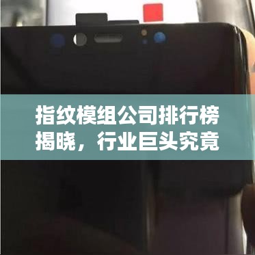 指纹模组公司排行榜揭晓，行业巨头究竟是谁？