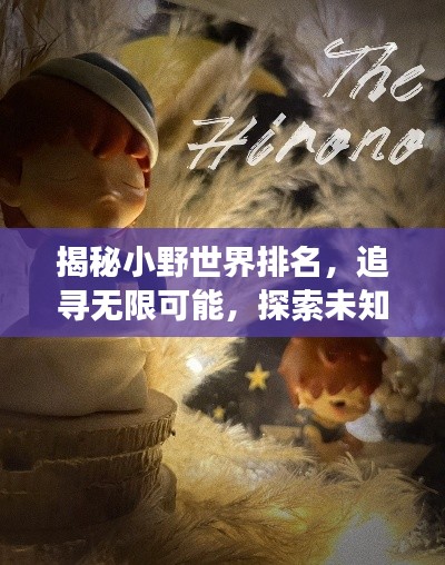 揭秘小野世界排名，追寻无限可能，探索未知之旅