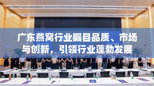 广东燕窝行业瞩目品质、市场与创新，引领行业蓬勃发展