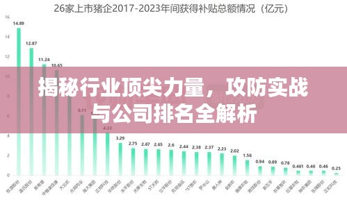 揭秘行业顶尖力量，攻防实战与公司排名全解析