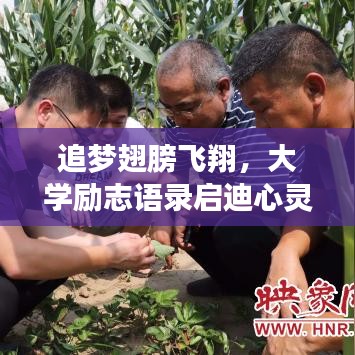 追梦翅膀飞翔，大学励志语录启迪心灵