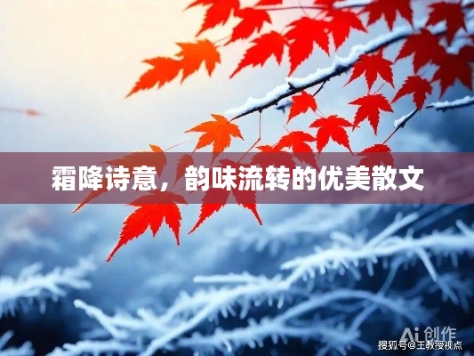 霜降诗意，韵味流转的优美散文