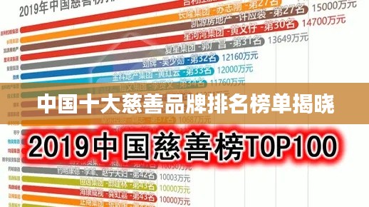 中国十大慈善品牌排名榜单揭晓