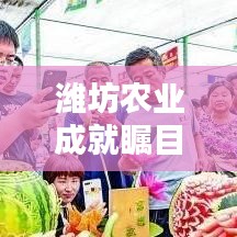 潍坊农业成就瞩目，全国前十辉煌排名！