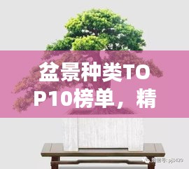 盆景种类TOP10榜单，精选盆景排名，不容错过！