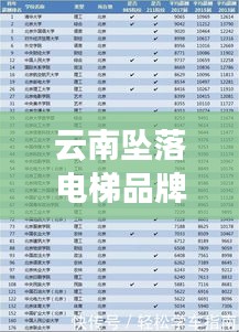 云南坠落电梯品牌大揭秘，最新排名榜单出炉！