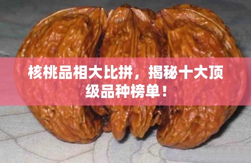 核桃品相大比拼，揭秘十大顶级品种榜单！