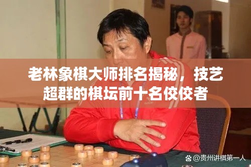 老林象棋大师排名揭秘，技艺超群的棋坛前十名佼佼者