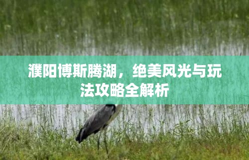 濮阳博斯腾湖，绝美风光与玩法攻略全解析