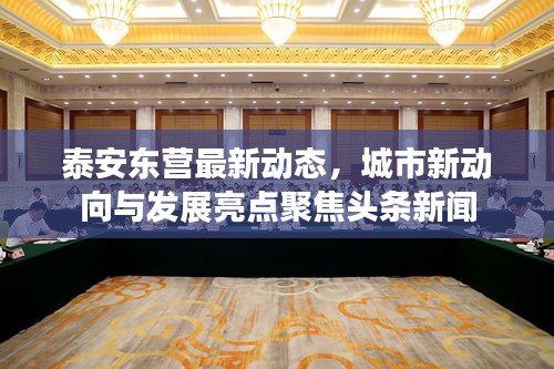 泰安东营最新动态，城市新动向与发展亮点聚焦头条新闻
