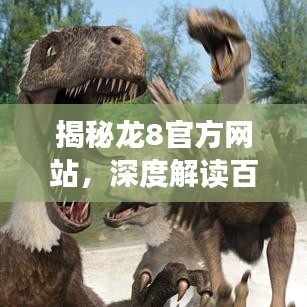 揭秘龙8官方网站，深度解读百度搜索体验