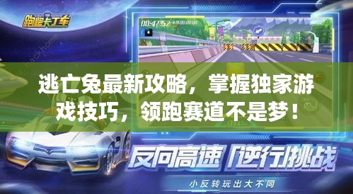 2025年6月19日