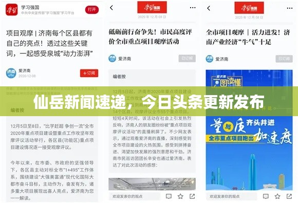 仙岳新闻速递，今日头条更新发布
