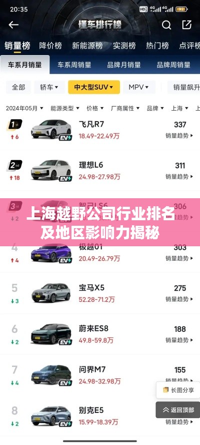 上海越野公司行业排名及地区影响力揭秘