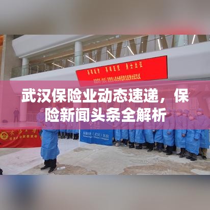 武汉保险业动态速递，保险新闻头条全解析