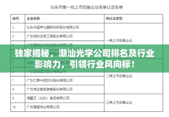 独家揭秘，潮汕光学公司排名及行业影响力，引领行业风向标！