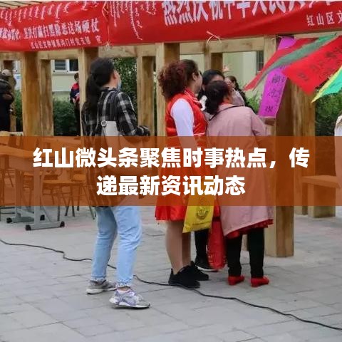 红山微头条聚焦时事热点，传递最新资讯动态