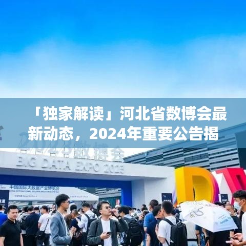 「独家解读」河北省数博会最新动态，2024年重要公告揭秘