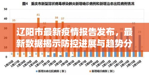 辽阳市最新疫情报告发布，最新数据揭示防控进展与趋势分析