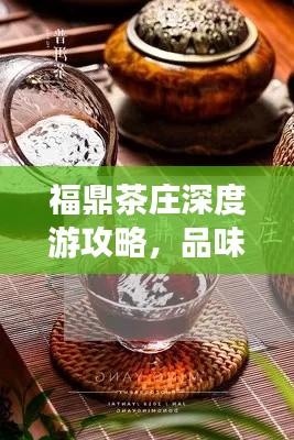 福鼎茶庄深度游攻略，品味茶香，领略独特风情
