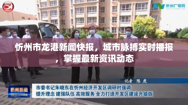 忻州市龙港新闻快报，城市脉搏实时播报，掌握最新资讯动态