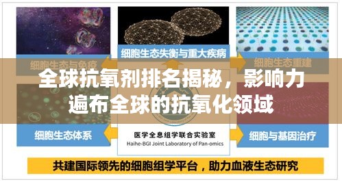 全球抗氧剂排名揭秘，影响力遍布全球的抗氧化领域