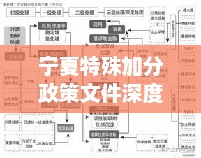 宁夏特殊加分政策文件深度解读，最新动态与要点分析