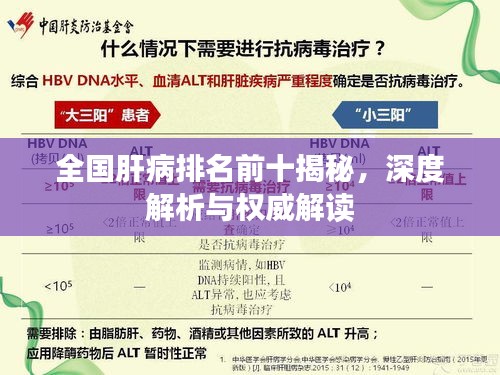 全国肝病排名前十揭秘，深度解析与权威解读